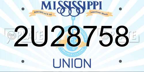 2U28758 Mississippi License Plate