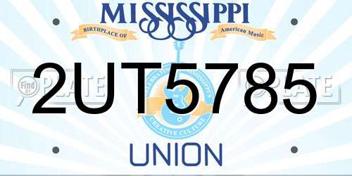 2UT5785 Mississippi License Plate