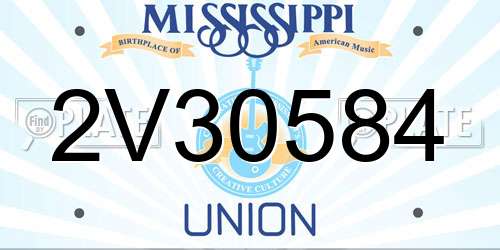 2V30584 Mississippi License Plate