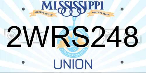2WRS248 Mississippi License Plate