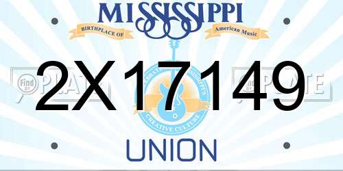2X17149 Mississippi License Plate