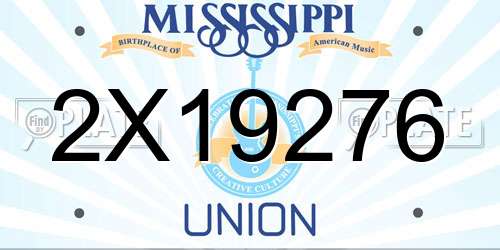 2X19276 Mississippi License Plate