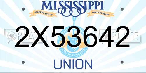 2X53642 Mississippi License Plate