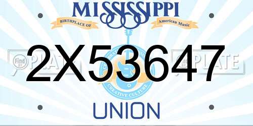 2X53647 Mississippi License Plate