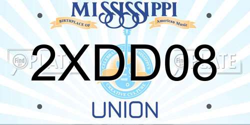 2XDD08 Mississippi License Plate