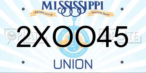 2XOO45 Mississippi License Plate