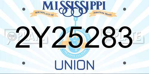 2Y25283 Mississippi License Plate