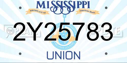 2Y25783 Mississippi License Plate
