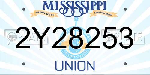 2Y28253 Mississippi License Plate