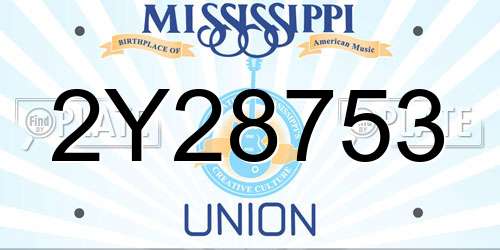 2Y28753 Mississippi License Plate