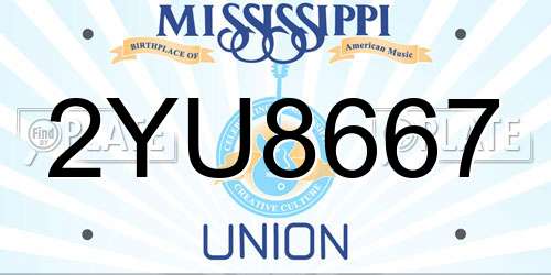 2YU8667 Mississippi License Plate