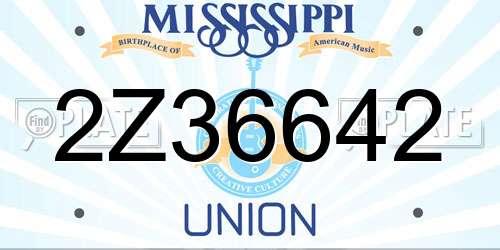 2Z36642 Mississippi License Plate