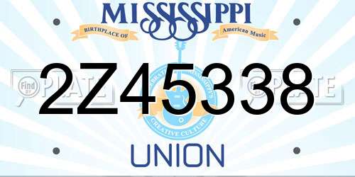 2Z45338 Mississippi License Plate