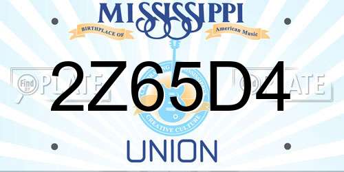 2Z65D4 Mississippi License Plate