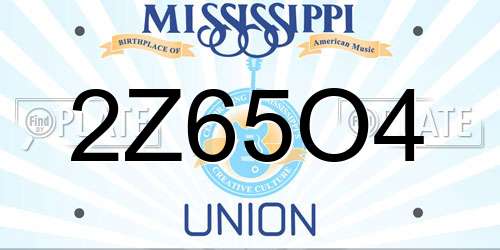 2Z65O4 Mississippi License Plate