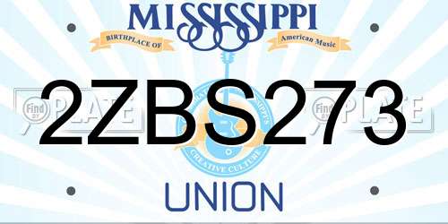 2ZBS273 Mississippi License Plate