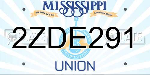 2ZDE291 Mississippi License Plate