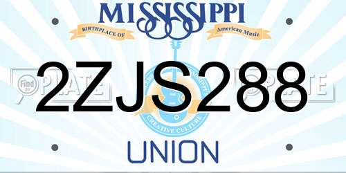 2ZJS288 Mississippi License Plate