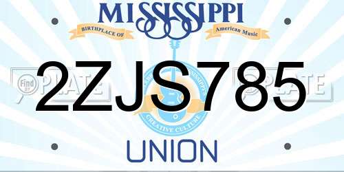2ZJS785 Mississippi License Plate