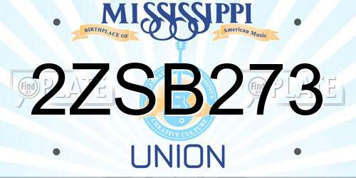 2ZSB273 Mississippi License Plate