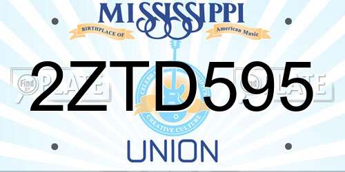 2ZTD595 Mississippi License Plate