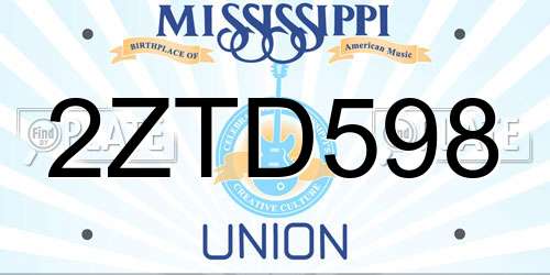 2ZTD598 Mississippi License Plate