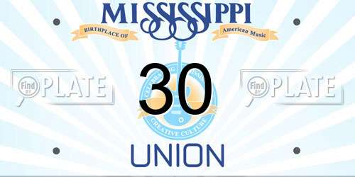 30 Mississippi License Plate