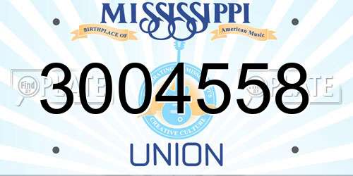 3004558 Mississippi License Plate