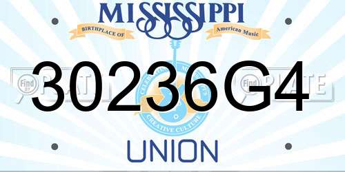 30236G4 Mississippi License Plate