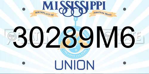 30289M6 Mississippi License Plate