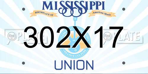 302X17 Mississippi License Plate