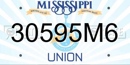 30595M6 Mississippi License Plate