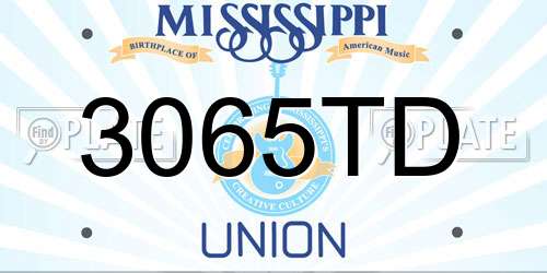 3065TD Mississippi License Plate