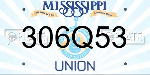 306Q53 Mississippi License Plate