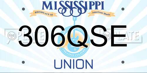 306QSE Mississippi License Plate