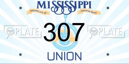 307 Mississippi License Plate