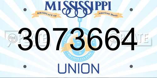 3073664 Mississippi License Plate