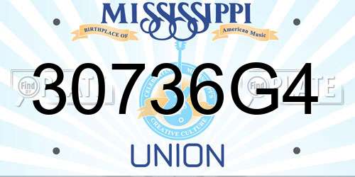 30736G4 Mississippi License Plate