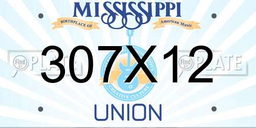 307X12 Mississippi License Plate