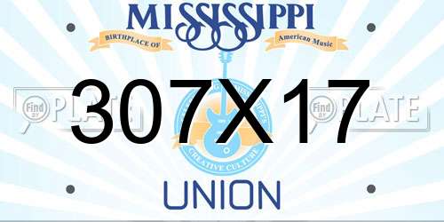 307X17 Mississippi License Plate