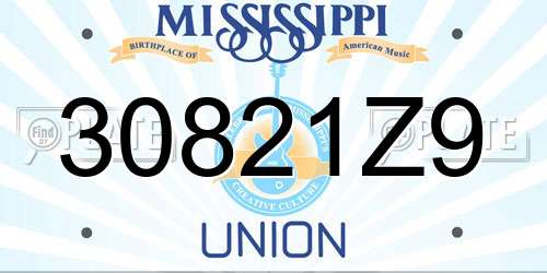 30821Z9 Mississippi License Plate
