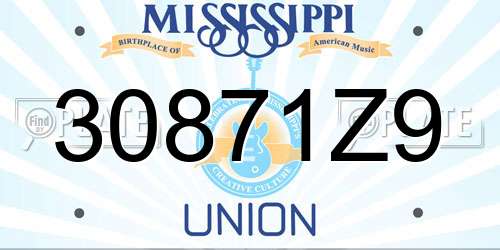 30871Z9 Mississippi License Plate