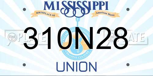 310N28 Mississippi License Plate