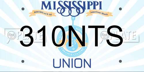 310NTS Mississippi License Plate
