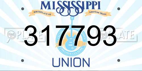 317793 Mississippi License Plate