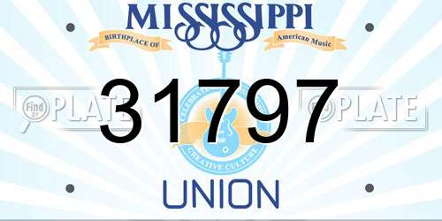 31797 Mississippi License Plate