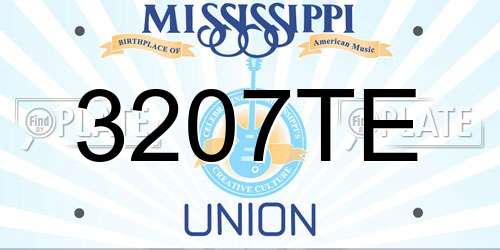 3207TE Mississippi License Plate