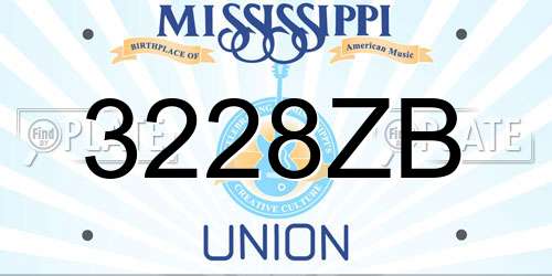 3228ZB Mississippi License Plate