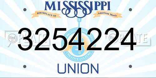 3254224 Mississippi License Plate