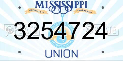 3254724 Mississippi License Plate